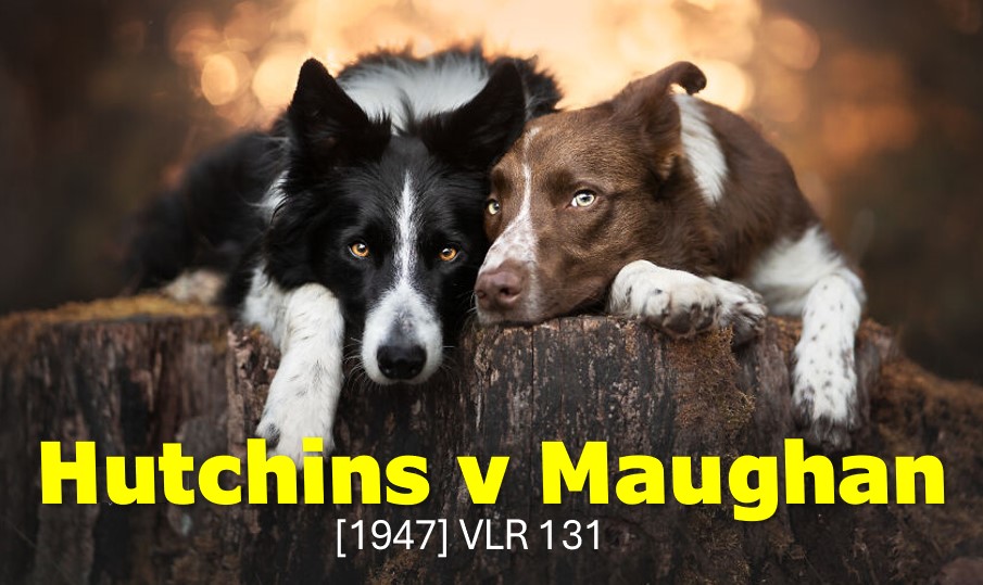  Hutchins v Maughan